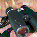 Alpen Teton 8x42 Binoculars with Abbe Prism